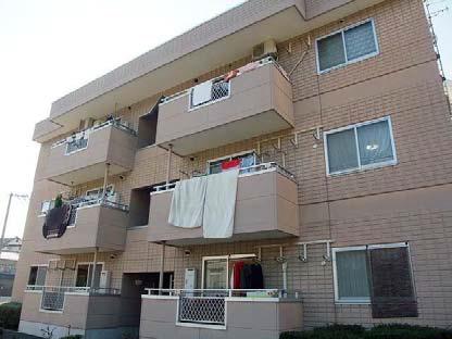 �L�������|�S�{�����R�c2���ڂ̒��݃}���V����