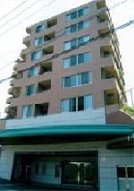 �L���s����Í]�����̒��݃}���V����