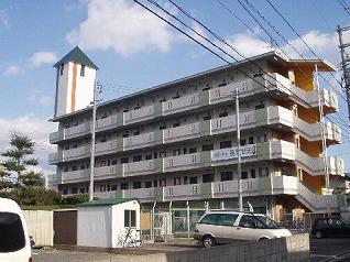 �L���s������ܓ��s����2�̒��݃}���V����