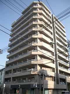 �L���s����V�����̒��݃}���V����