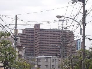 �L�������|�S�{�������R2���ڂ̒��݃}���V����