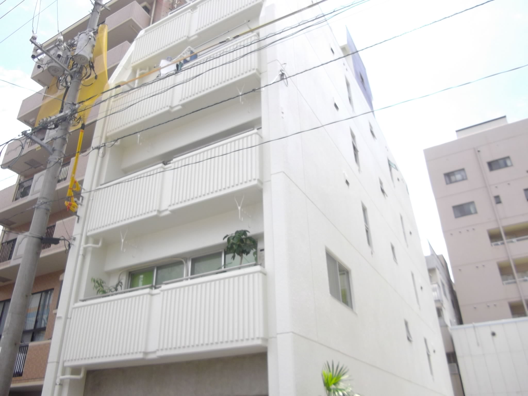 �L���s����|���̒��݃}���V����