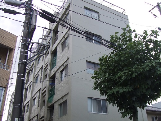 �L���s���揬�͓����̒��݃}���V����