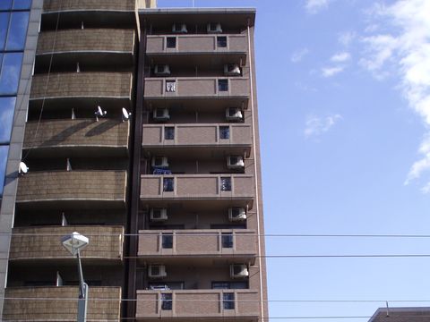 �L���s���拴�{���̒��݃}���V����