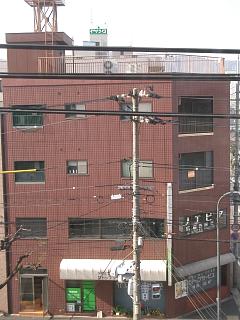 �L���s����V�����̒��݃}���V����